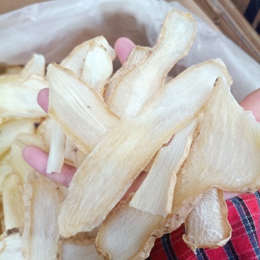 精品天麻片、正品保证可批发可零售量大从优