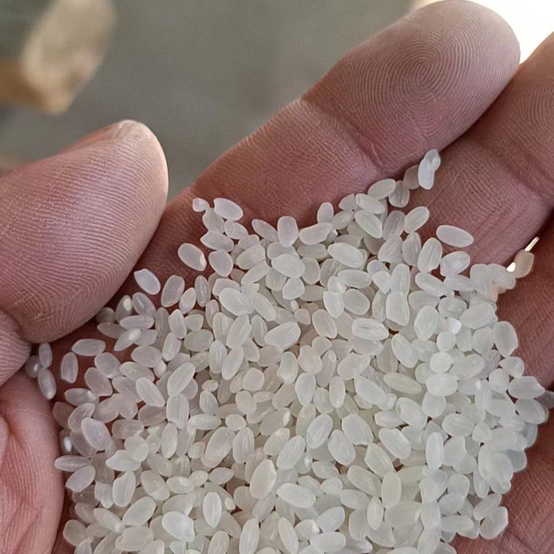 陈粮珍珠米