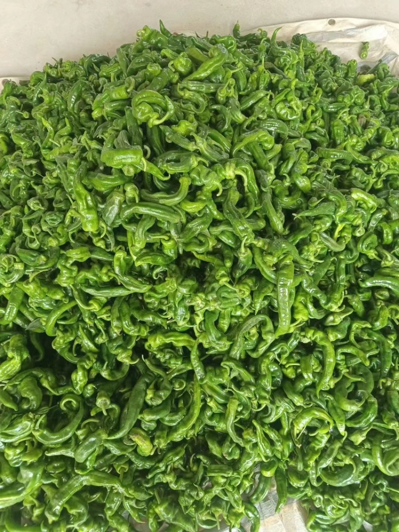 广西辣椒，各种线椒，螺丝椒，螺线椒，芜湖椒，等等