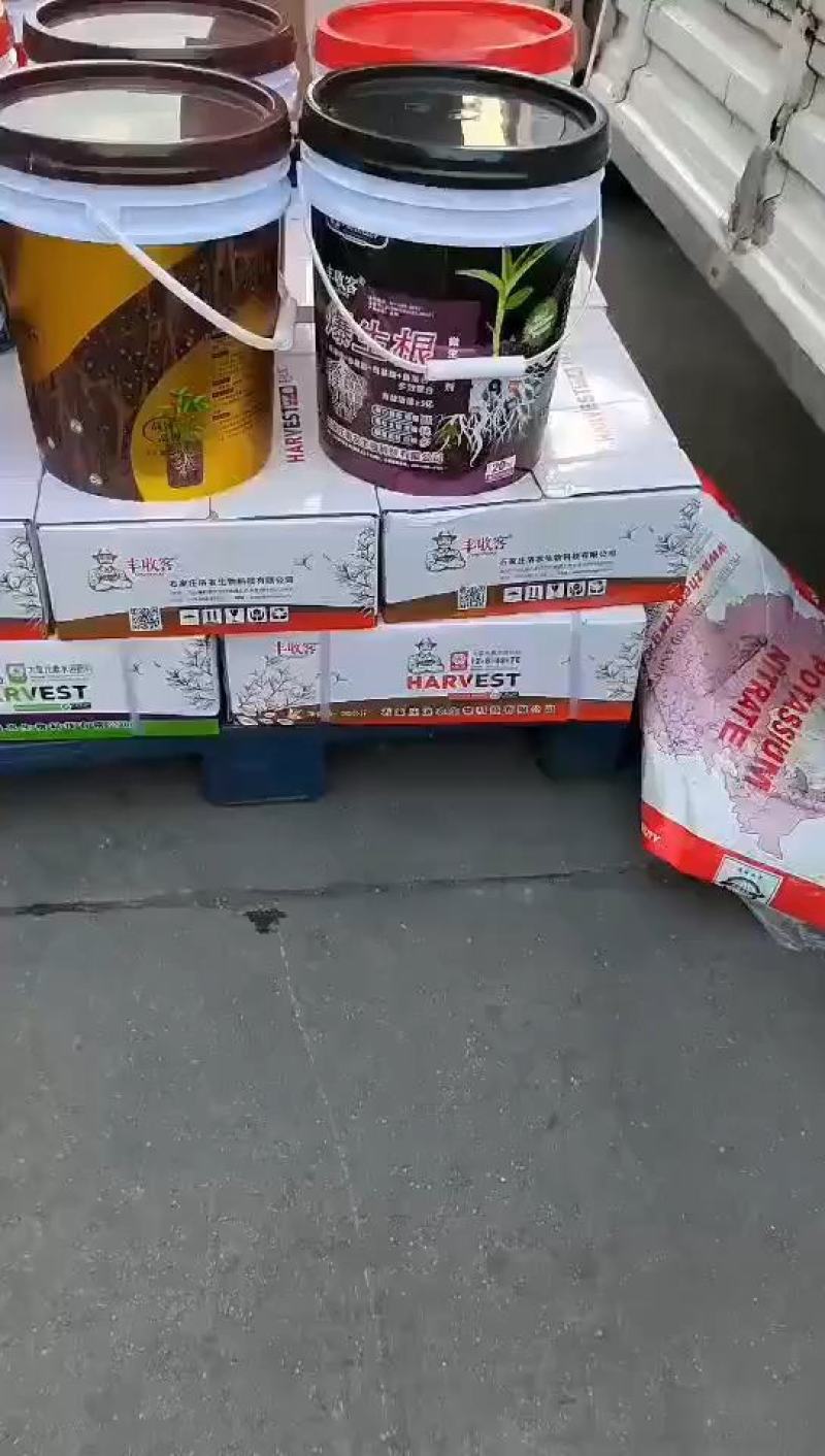 大量元素高磷肥以色列进口原料膨果着色口感好