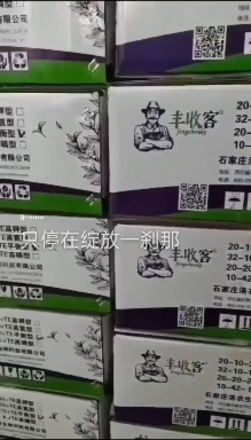 大量元素高磷肥以色列进口原料膨果着色口感好