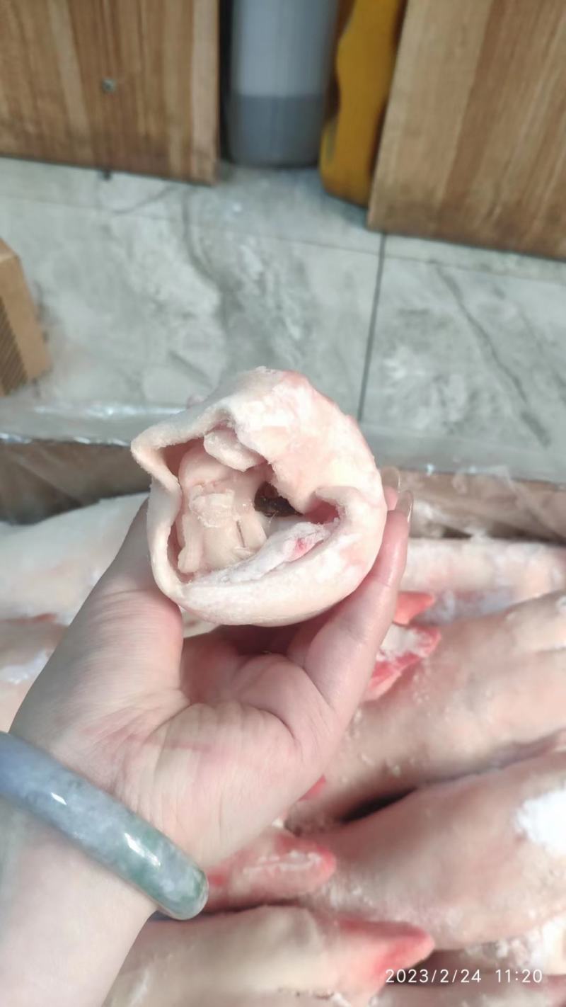 母猪蹄