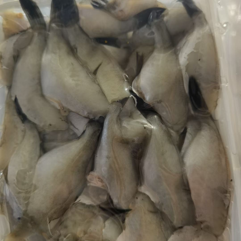 扒皮鱼马面鱼