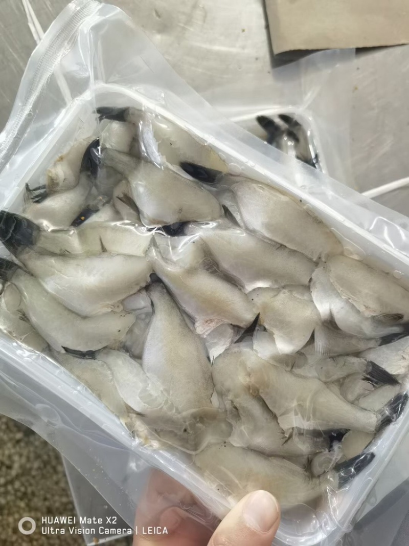 扒皮鱼马面鱼