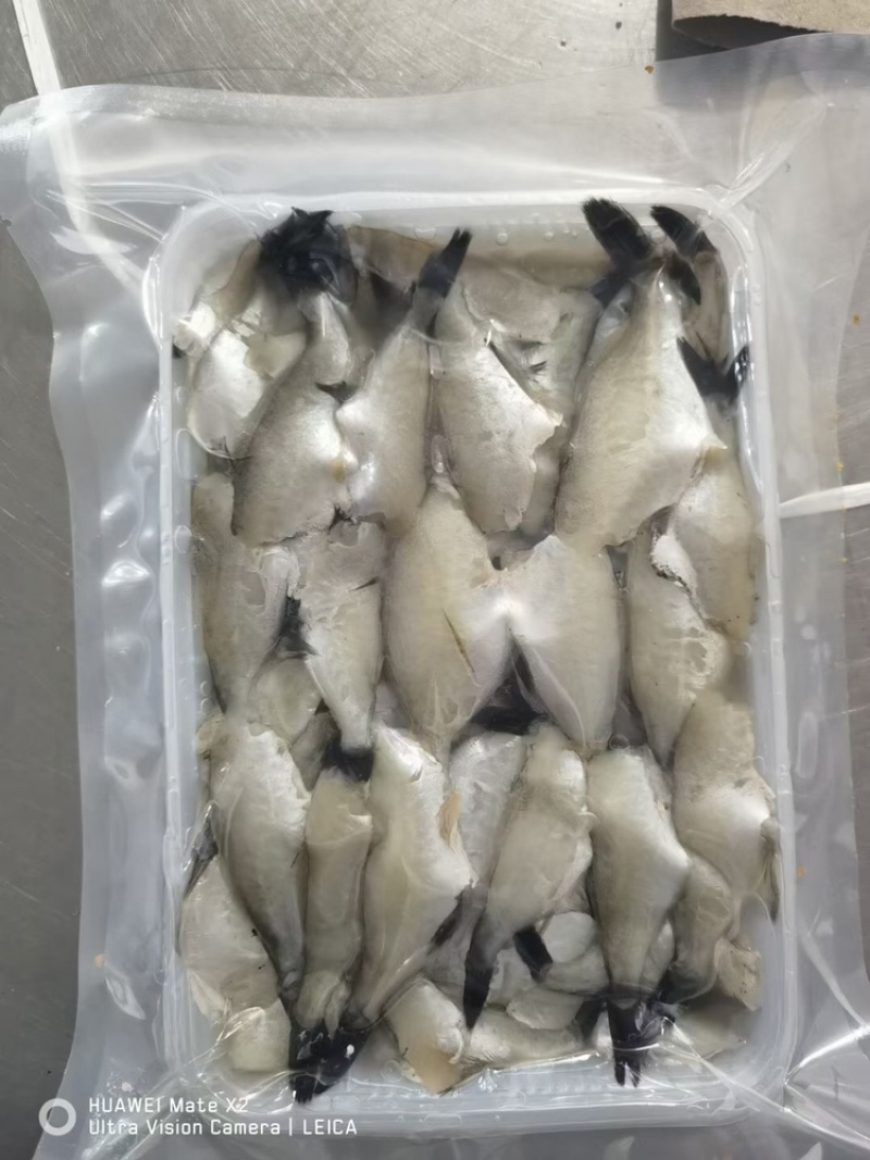 扒皮鱼马面鱼
