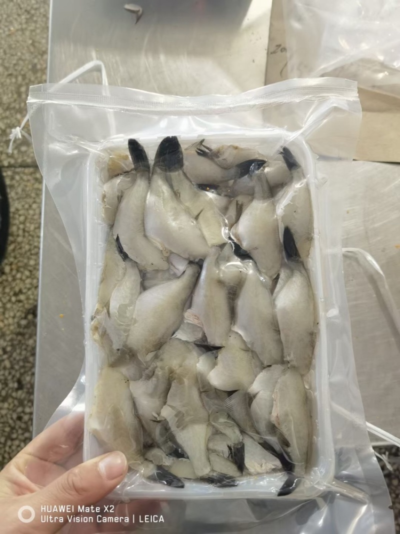 扒皮鱼马面鱼