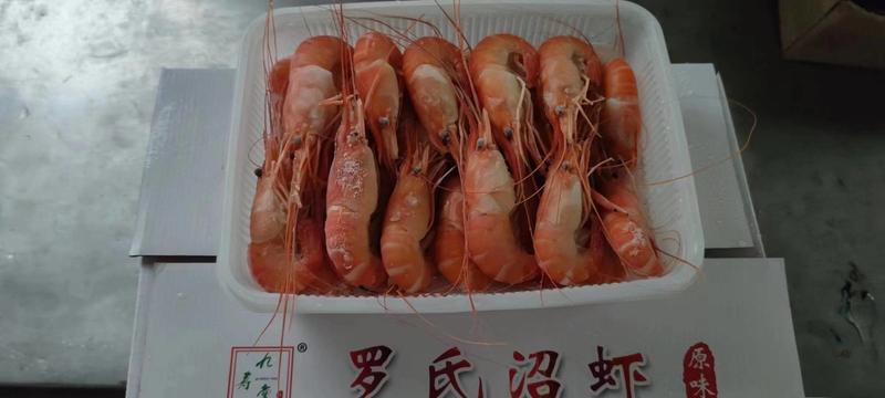 罗氏绍虾，也叫罗氏虾，钳子虾，淡水养殖，广东养殖基地多