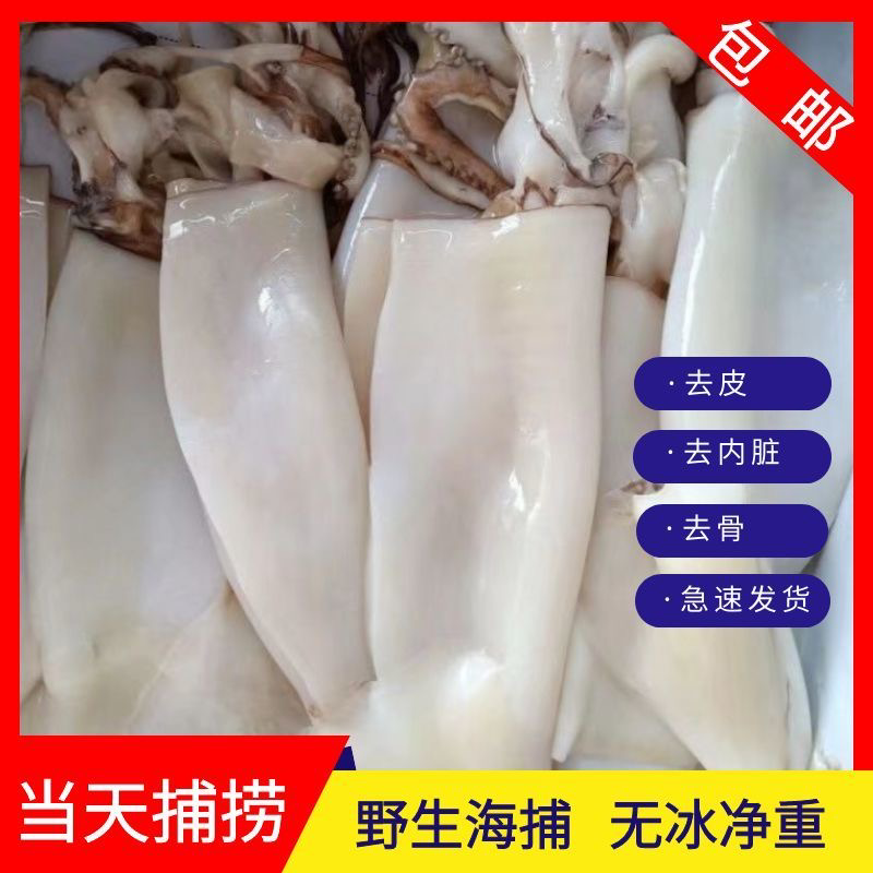 海捕大鱿鱼去皮去内脏去骨头去眼睛净重鱼肉代发