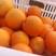 秭归伦晚脐橙大量上市，一伦晚化渣率高，果园看货订货，质量