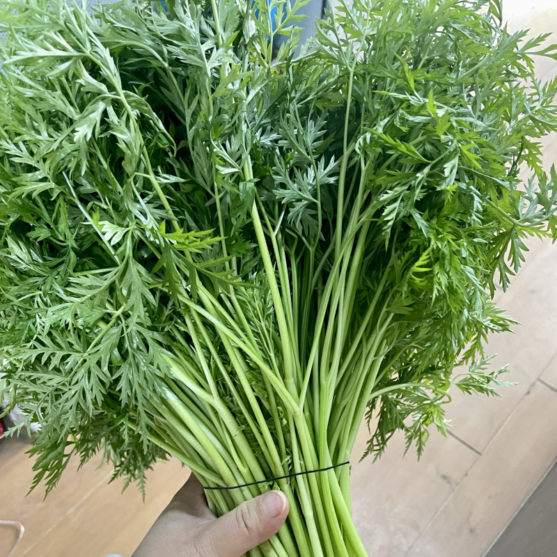 川芎苗尖，新鲜川芎，货源充足，现货供应