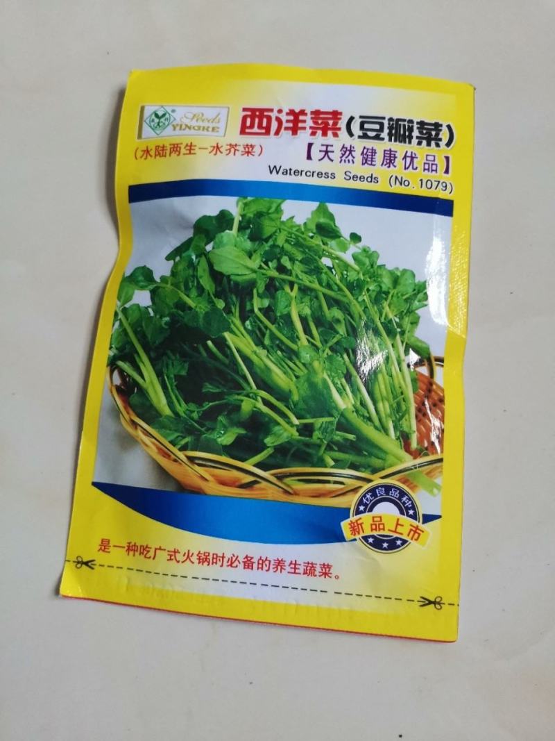 西洋菜种子，25克，0.3克1000粒，两袋一亩地