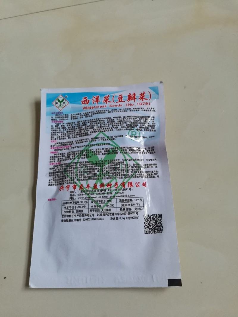 西洋菜种子，25克，0.3克1000粒，两袋一亩地