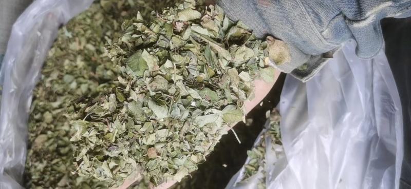 山西花椒叶花椒枝花椒粉产地直发品质保证一手货源