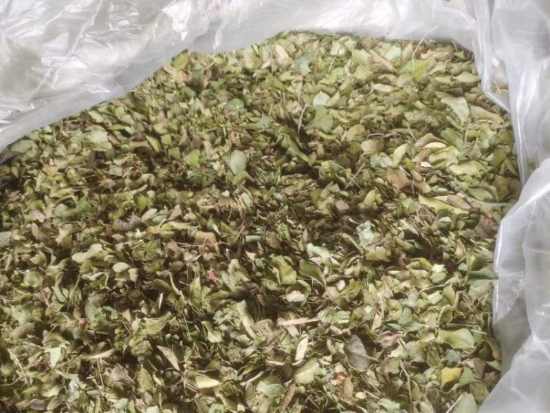 花椒叶花椒粉花椒枝产地直发品质保证一手货源
