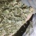 花椒叶花椒粉花椒枝产地直发品质保证一手货源