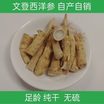 正宗文登西洋参花旗参参腿可打粉切片