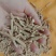 正宗文登西洋参花旗参参腿可打粉切片