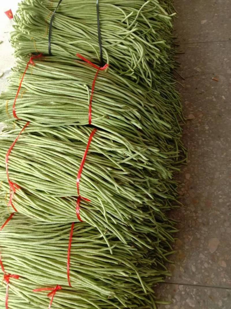 豆角青瓜苦瓜茄子香芋南瓜产地直销支持批发6月份上市