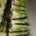 白帽蒜苔已经陆续上市欢迎新老客户电话咨询