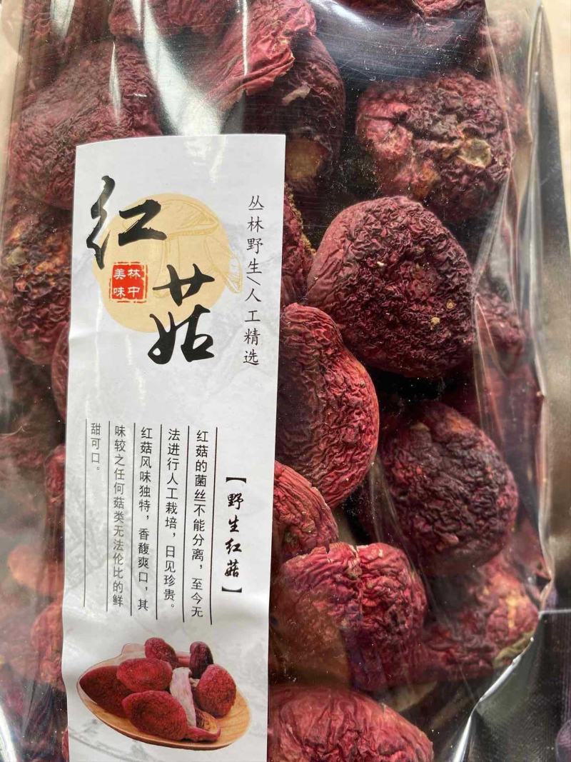 【云南野生红菇】云南野生小红菇丁菇红蘑菇当季新货包邮