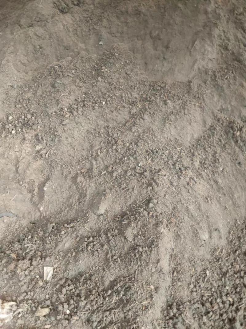 【推荐】广东鸡粪基地发货量大从优价格优惠欢迎电联