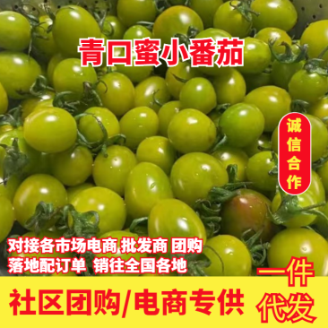 【实力货源】青口蜜小番茄社区团购电商支持一件代发全国下单
