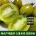 【实力货源】青口蜜小番茄社区团购电商支持一件代发全国下单