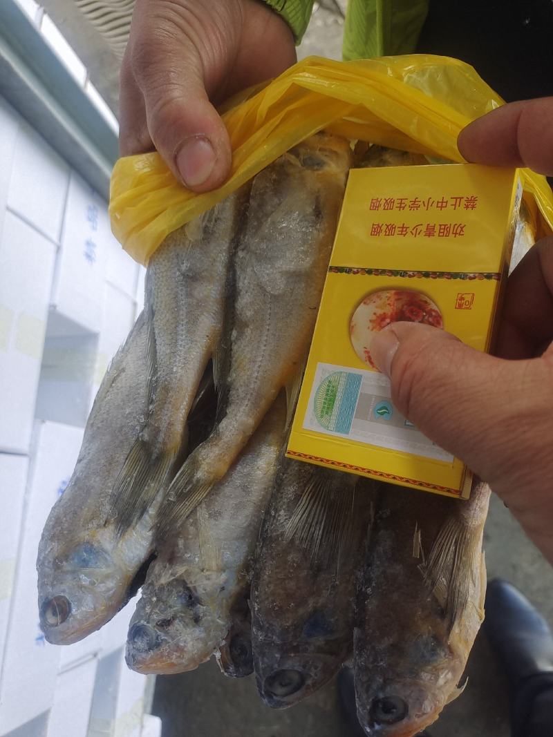 黄花鱼适合工厂穿串加工，烧烤，市场批发销售，鲜度佳