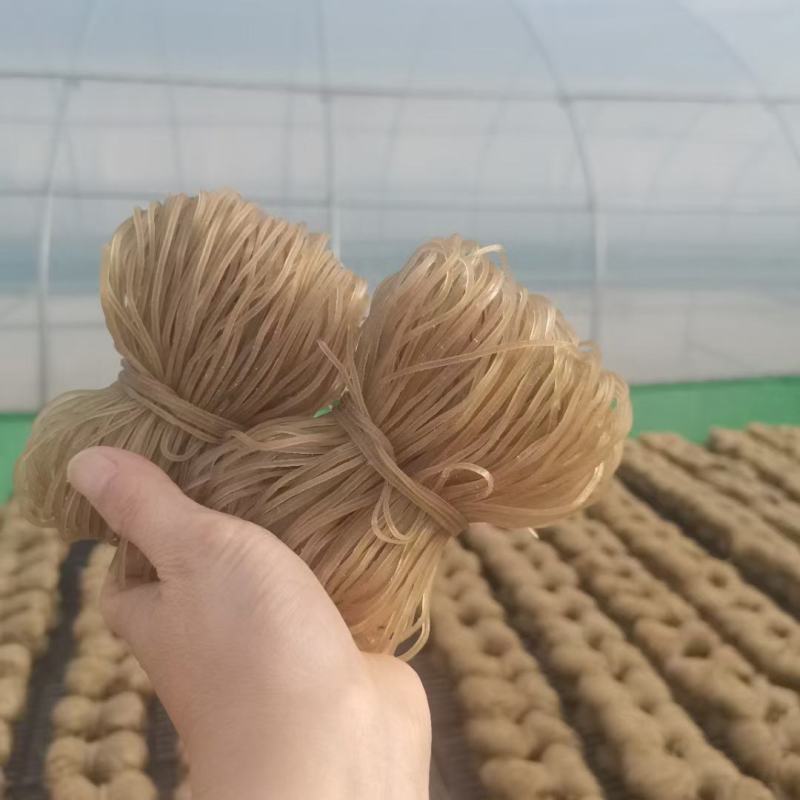 和平客家农家手工传统番薯粉丝，量大价格优