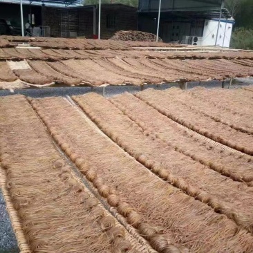 河源连平手工传统番薯粉丝