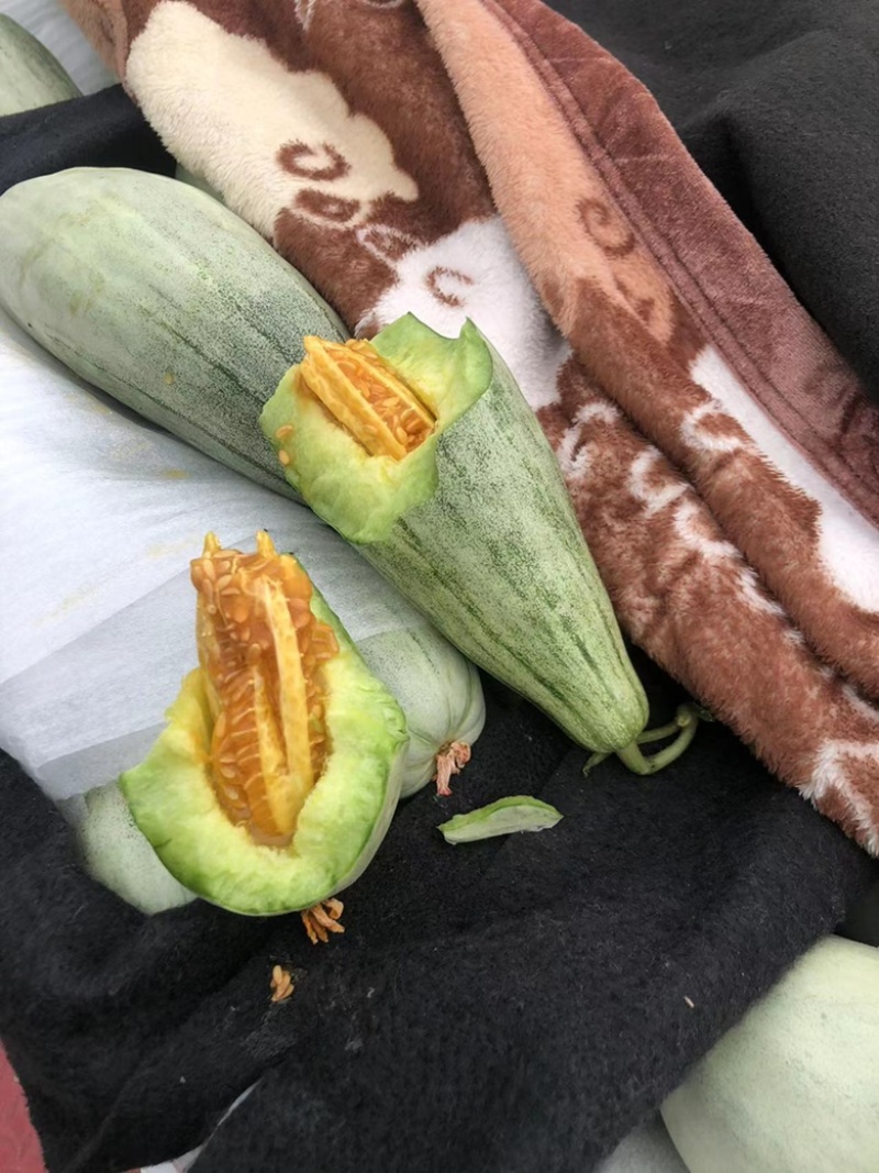 【电话详谈】羊角蜜61甜瓜，大量上市，产地一手货源