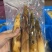 精品网红手剥笋香辣味老汤味/泡椒味，量大从优厂家直供新货