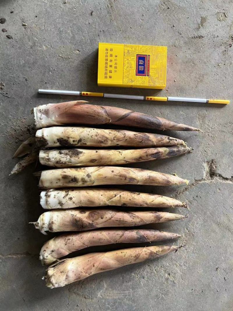 精品网红手剥笋香辣味老汤味/泡椒味，量大从优厂家直供新货