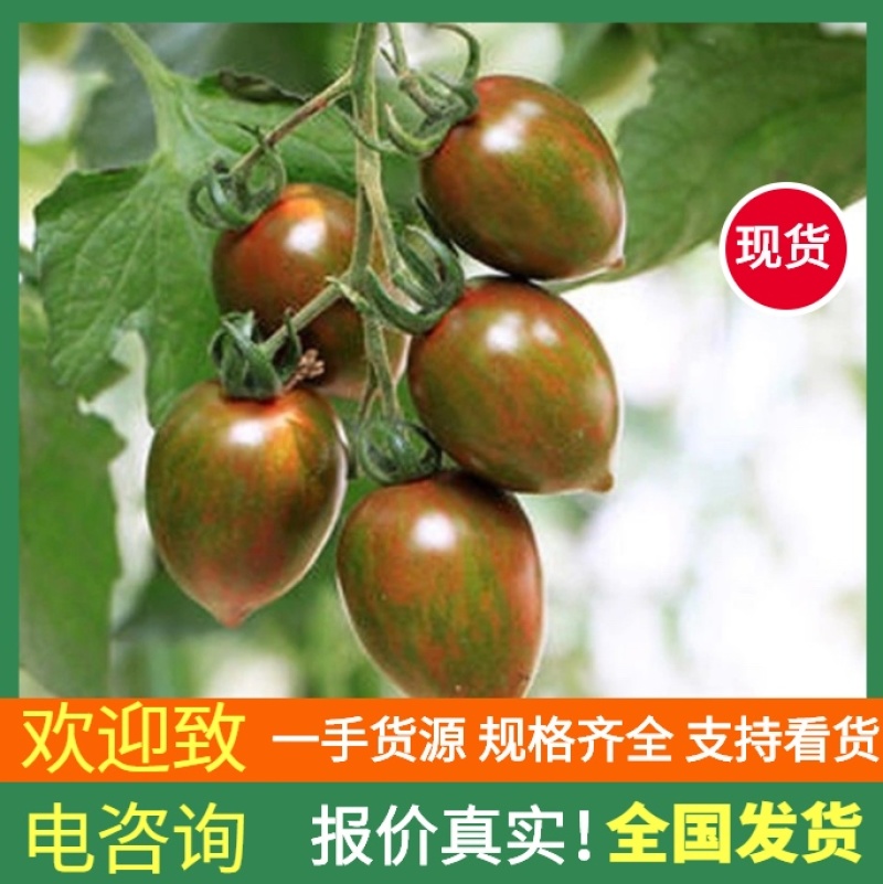 迷彩小番茄社区团购电商货源支持一件代发一手货源全国供应