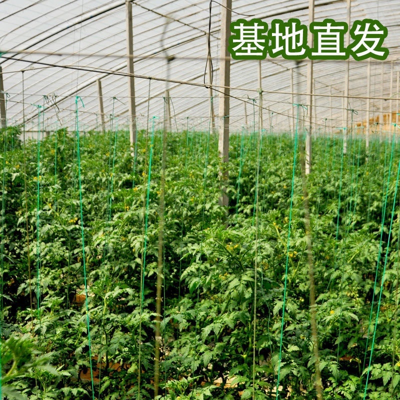 迷彩小番茄社区团购电商货源支持一件代发一手货源全国供应