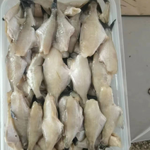 真空马面鱼，扒皮鱼，老鼠鱼，一件20袋，净重400克一袋