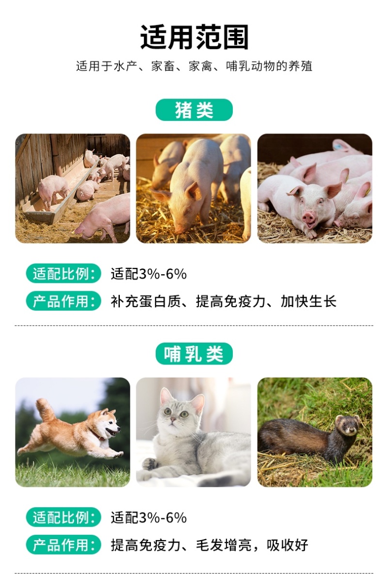 乌拉圭牛肉骨粉宠物猫狗天鹅饲料原料蛋白45欢迎联系