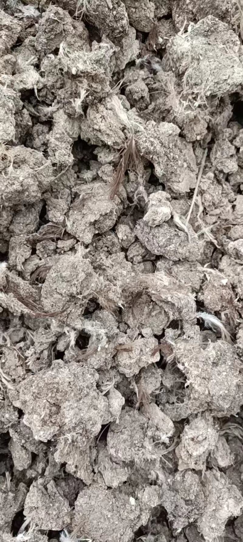 纯人工晾晒干鸡粪散装200元一吨，