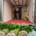 精品皇后芹菜西芹实心翠绿无丝万亩种植基地产地直发