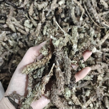 夏枯草，夏枯球，统货无硫，一手货源，保质保量，欢迎订购