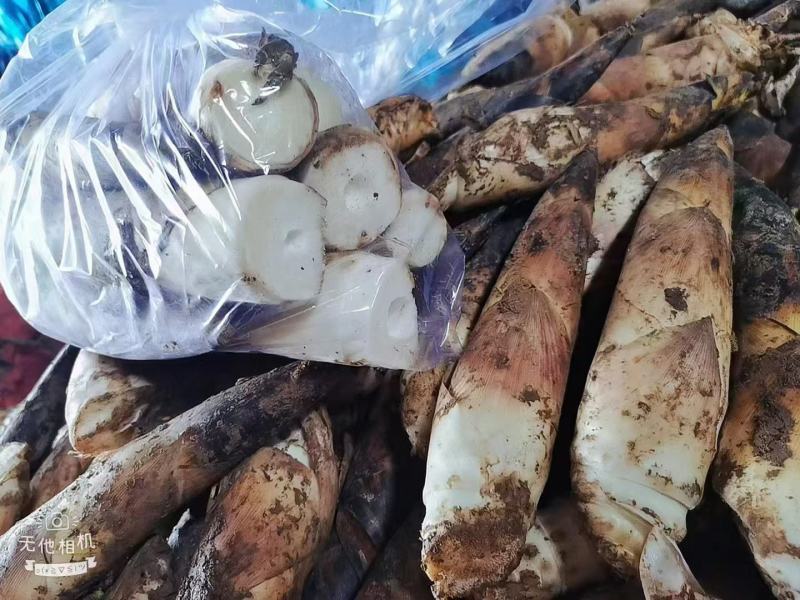 雷竹笋大量上市欢迎各大电商，社区团购前来合作。