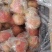 万荣苹果精品纸加膜