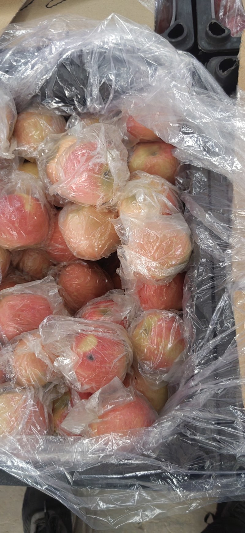 万荣苹果精品纸加膜