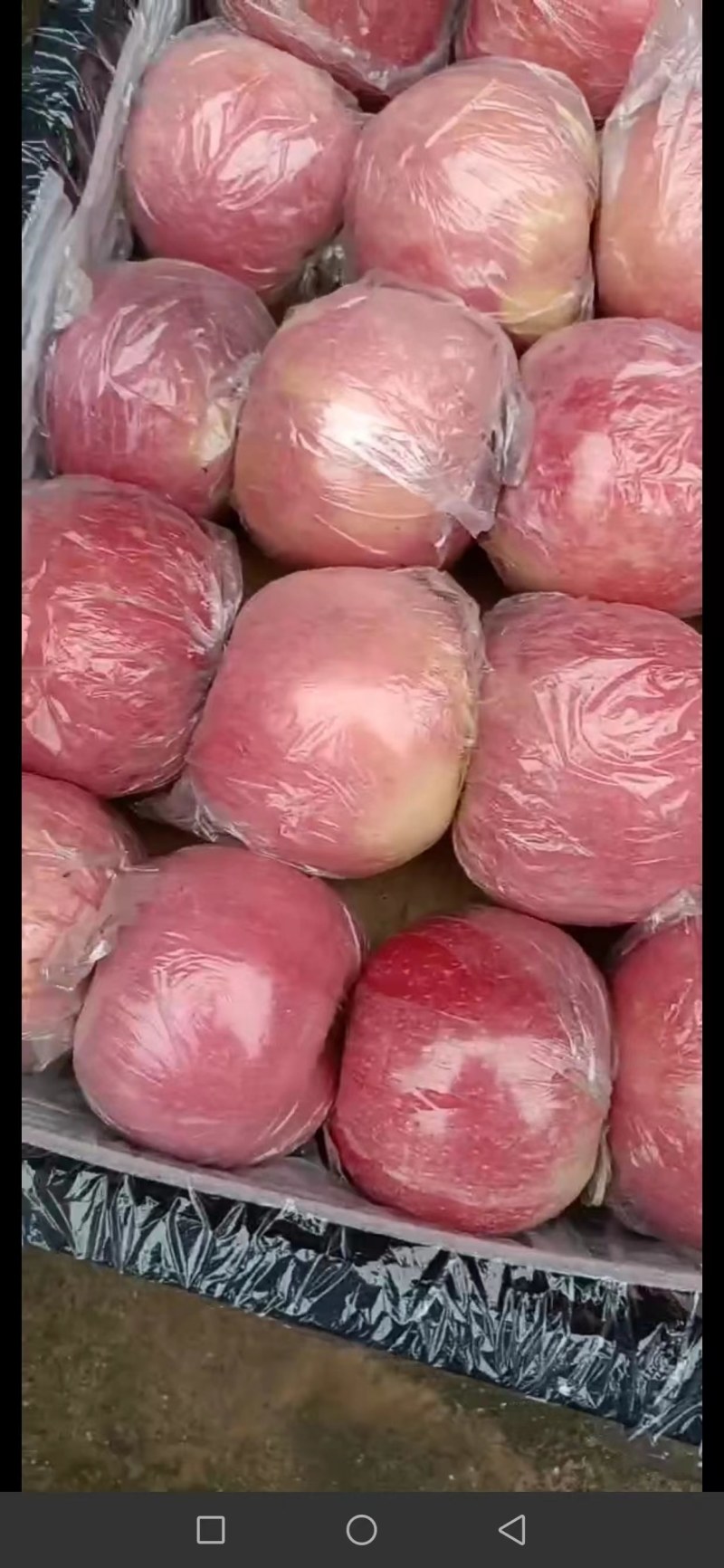 万荣苹果精品纸加膜