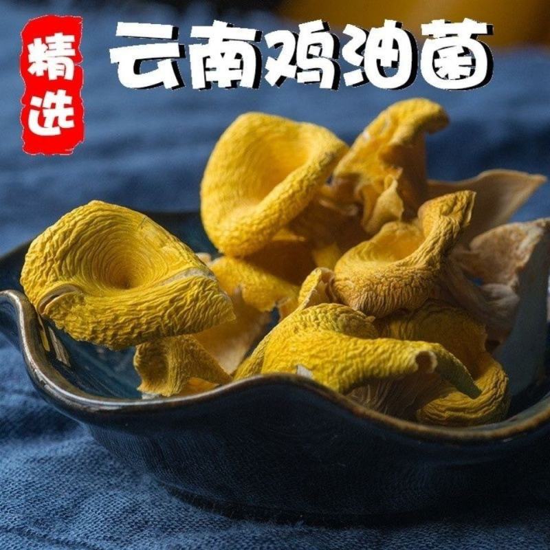 【鸡油菌】云南鸡油菌500克袋装菌香浓郁无硫鸡油菌包邮