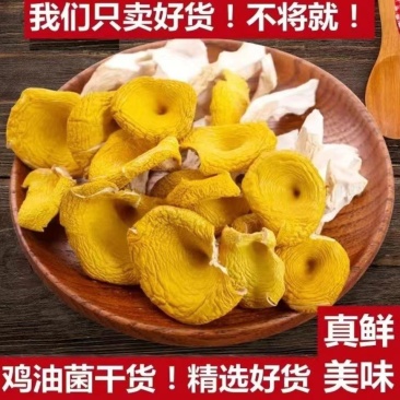 【鸡油菌】云南无硫鸡油菌500克袋装当季新货包邮