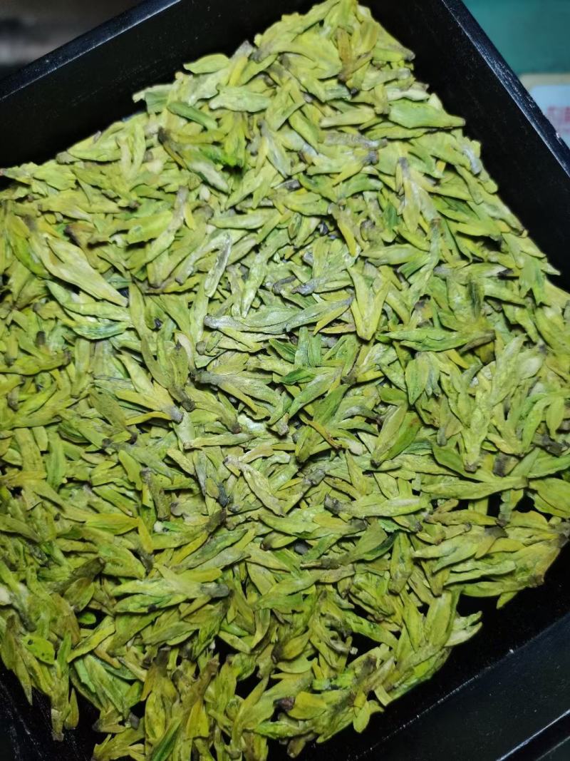 高山龙井，质量优越