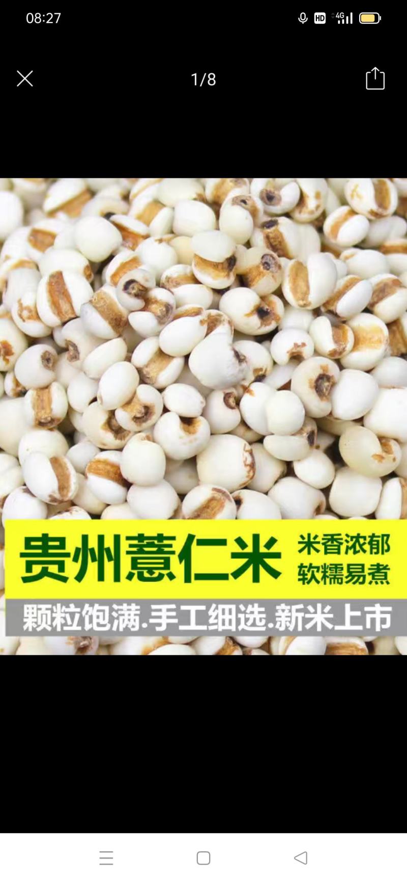贵州精品白色薏苡仁，欢迎大家前来选购，量大从优。