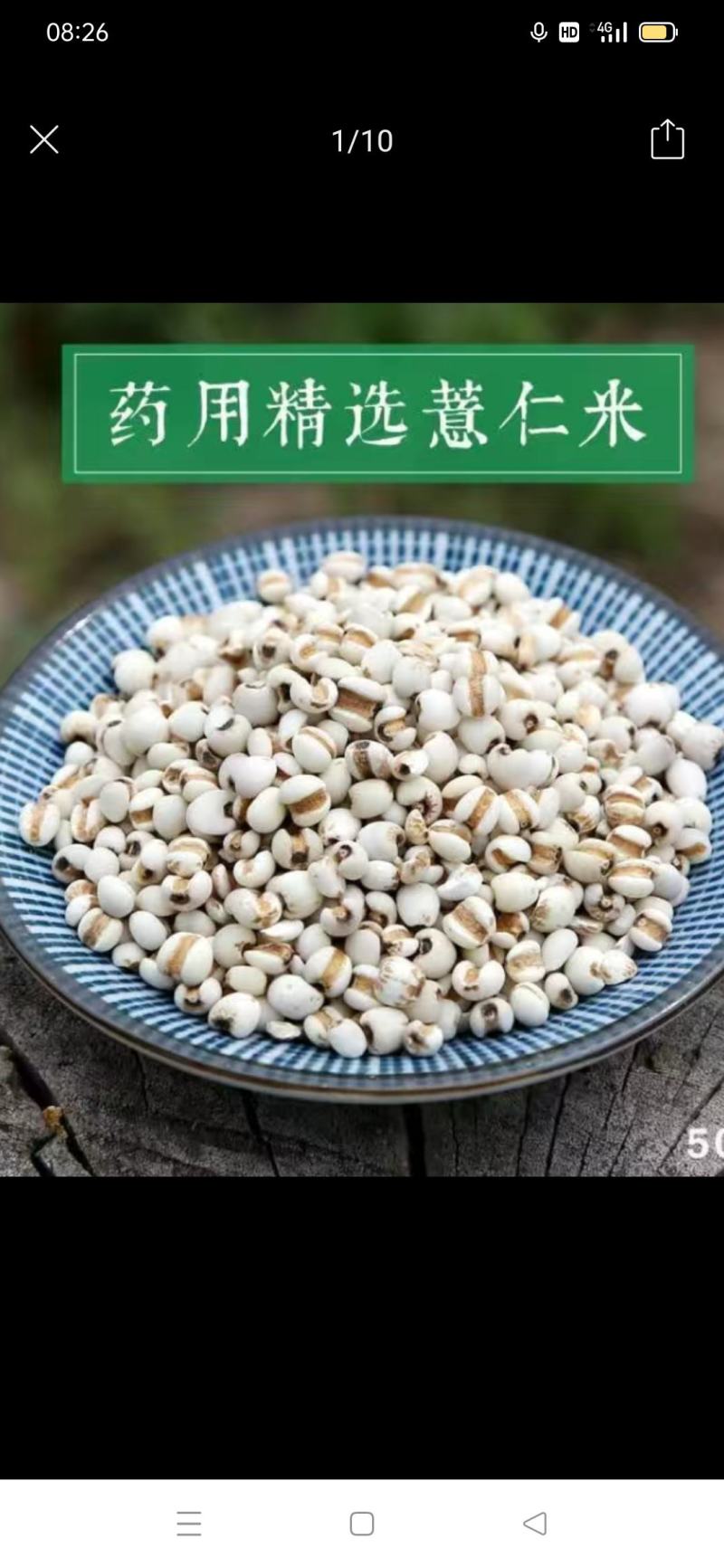 贵州精品白色薏苡仁，欢迎大家前来选购，量大从优。