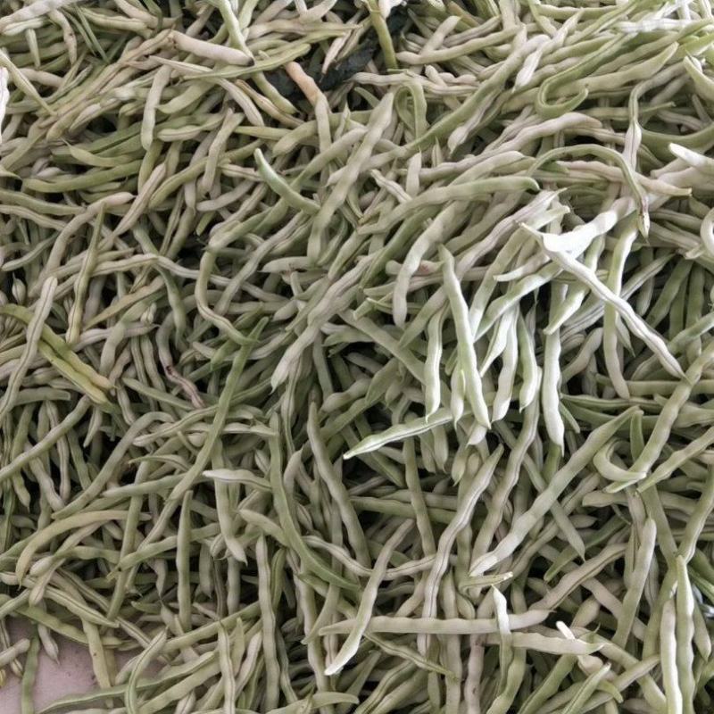 山东芸豆白芸豆九粒白芸豆大量供应优质白芸豆